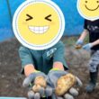 じゃがいも掘り体験